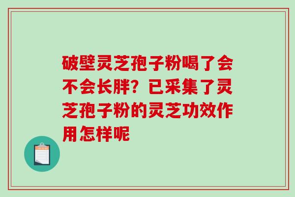 破壁灵芝孢子粉喝了会不会长胖？已采集了灵芝孢子粉的灵芝功效作用怎样呢