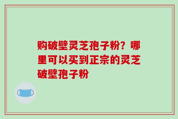 购破壁灵芝孢子粉？哪里可以买到正宗的灵芝破壁孢子粉