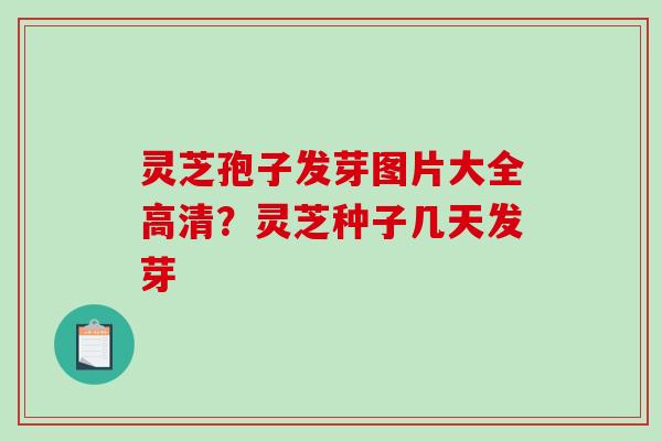 灵芝孢子发芽图片大全高清？灵芝种子几天发芽
