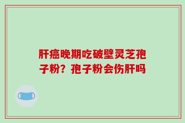 肝癌晚期吃破壁灵芝孢子粉？孢子粉会伤肝吗