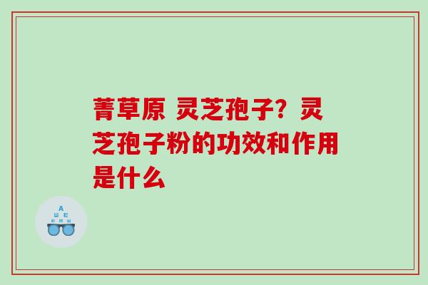 菁草原 灵芝孢子？灵芝孢子粉的功效和作用是什么