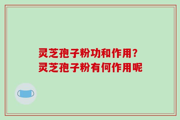 灵芝孢子粉功和作用？灵芝孢子粉有何作用呢