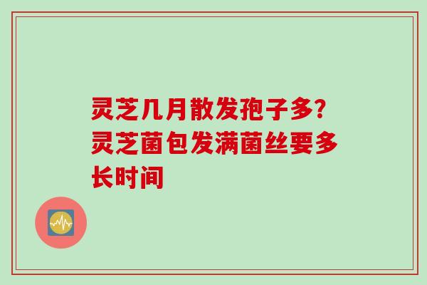 灵芝几月散发孢子多？灵芝菌包发满菌丝要多长时间
