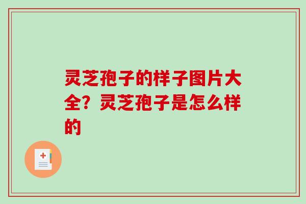 灵芝孢子的样子图片大全？灵芝孢子是怎么样的