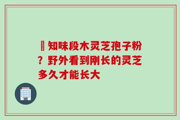 沄知味段木灵芝孢子粉？野外看到刚长的灵芝多久才能长大
