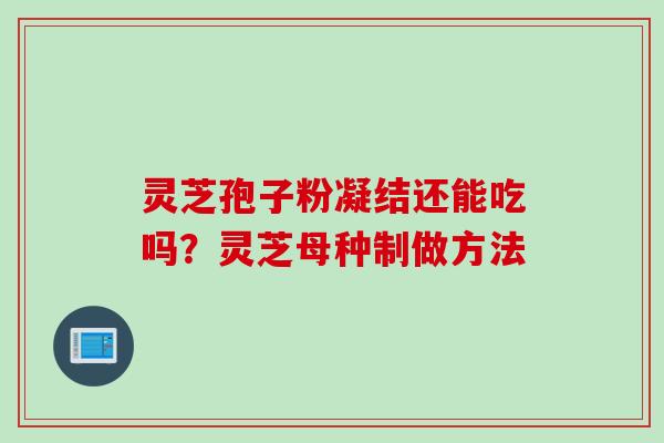 灵芝孢子粉凝结还能吃吗？灵芝母种制做方法