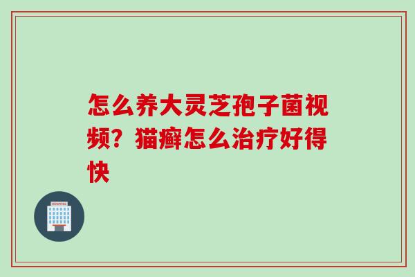 怎么养大灵芝孢子菌视频？猫癣怎么治疗好得快