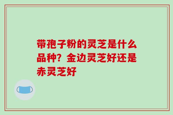 带孢子粉的灵芝是什么品种？金边灵芝好还是赤灵芝好