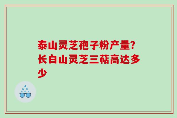 泰山灵芝孢子粉产量？长白山灵芝三萜高达多少