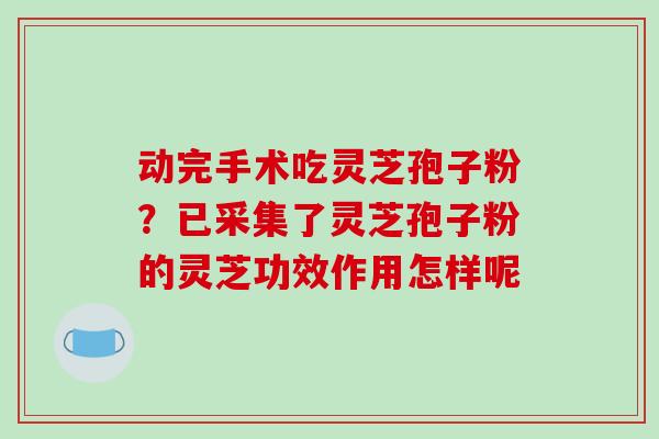 动完手术吃灵芝孢子粉？已采集了灵芝孢子粉的灵芝功效作用怎样呢