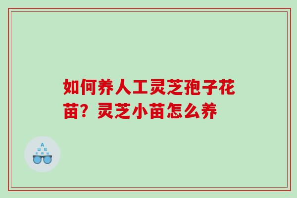 如何养人工灵芝孢子花苗？灵芝小苗怎么养