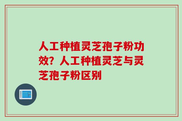 人工种植灵芝孢子粉功效？人工种植灵芝与灵芝孢子粉区别