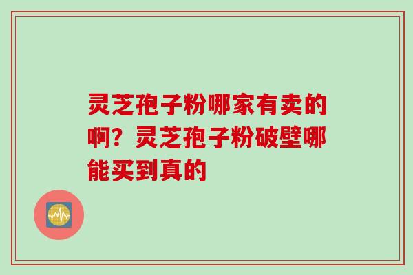 灵芝孢子粉哪家有卖的啊？灵芝孢子粉破壁哪能买到真的