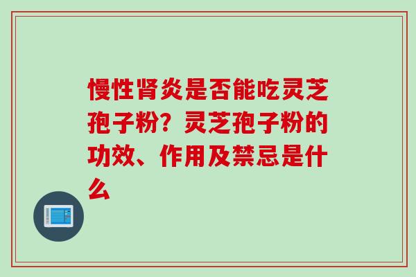 慢性肾炎是否能吃灵芝孢子粉？灵芝孢子粉的功效、作用及禁忌是什么