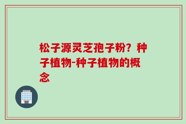 松子源灵芝孢子粉？种子植物-种子植物的概念