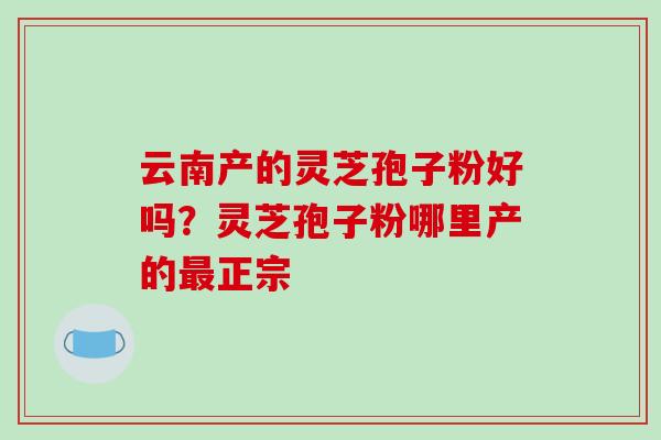 云南产的灵芝孢子粉好吗？灵芝孢子粉哪里产的最正宗