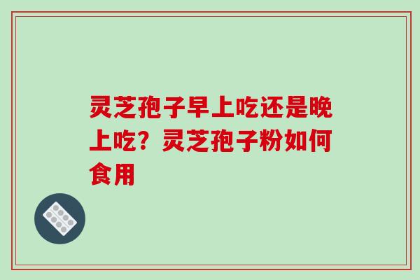 灵芝孢子早上吃还是晚上吃？灵芝孢子粉如何食用