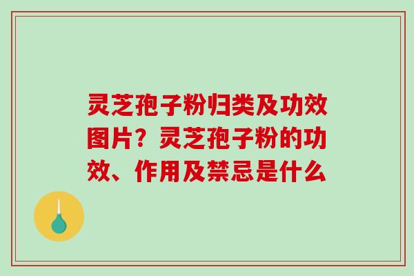 灵芝孢子粉归类及功效图片？灵芝孢子粉的功效、作用及禁忌是什么