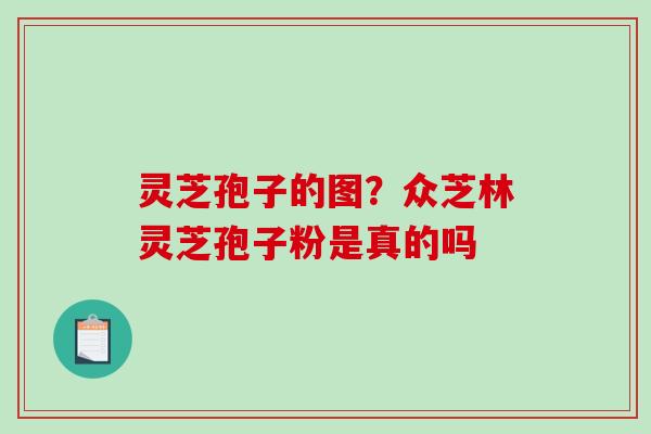 灵芝孢子的图？众芝林灵芝孢子粉是真的吗