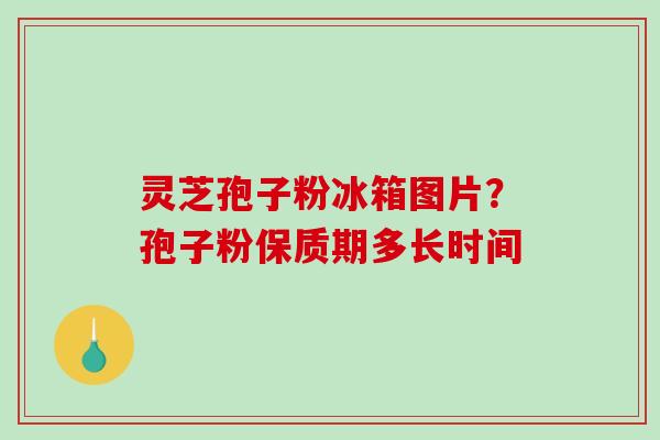 灵芝孢子粉冰箱图片？孢子粉保质期多长时间