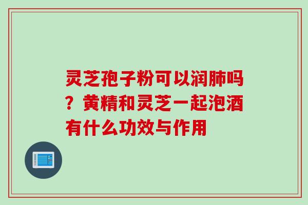 灵芝孢子粉可以润吗?黄精和灵芝一起泡酒有什么功效与作用 灵芝孢子粉可以润吗?黄精和灵芝一起泡酒有什么功效与作用