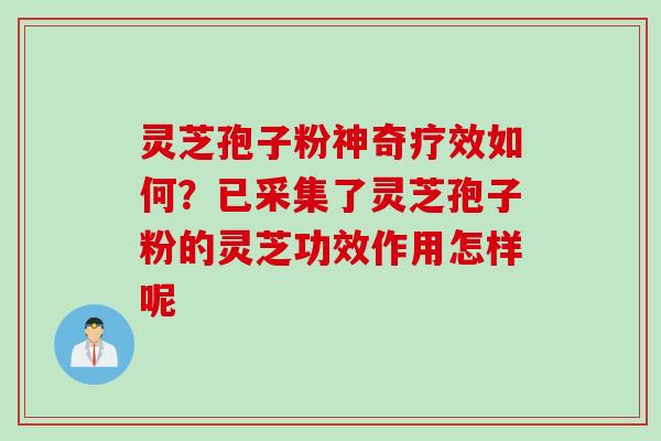 灵芝孢子粉神奇疗效如何？已采集了灵芝孢子粉的灵芝功效作用怎样呢