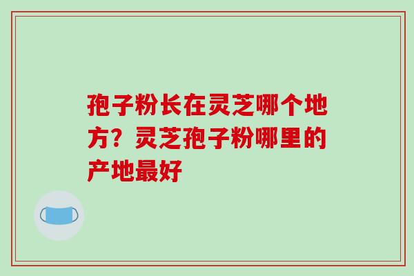 孢子粉长在灵芝哪个地方？灵芝孢子粉哪里的产地最好