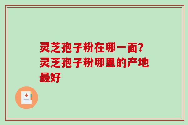 灵芝孢子粉在哪一面？灵芝孢子粉哪里的产地最好