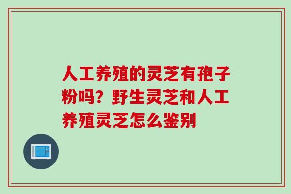 人工养殖的灵芝有孢子粉吗？野生灵芝和人工养殖灵芝怎么鉴别