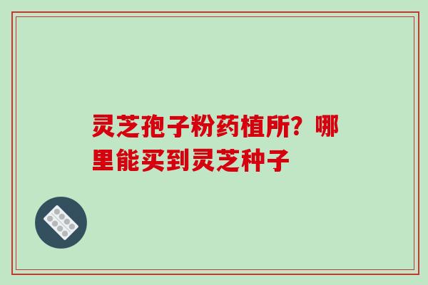 灵芝孢子粉药植所？哪里能买到灵芝种子