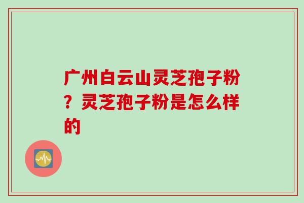 广州白云山灵芝孢子粉？灵芝孢子粉是怎么样的