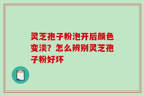 灵芝孢子粉泡开后颜色变淡？怎么辨别灵芝孢子粉好坏