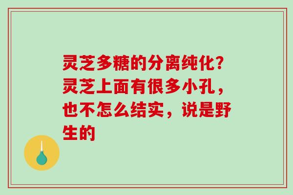 灵芝多糖的分离纯化？灵芝上面有很多小孔，也不怎么结实，说是野生的