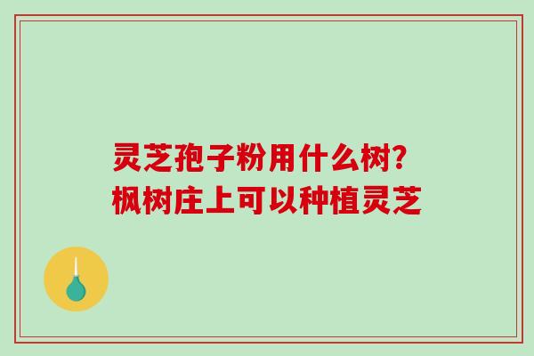 灵芝孢子粉用什么树？枫树庄上可以种植灵芝