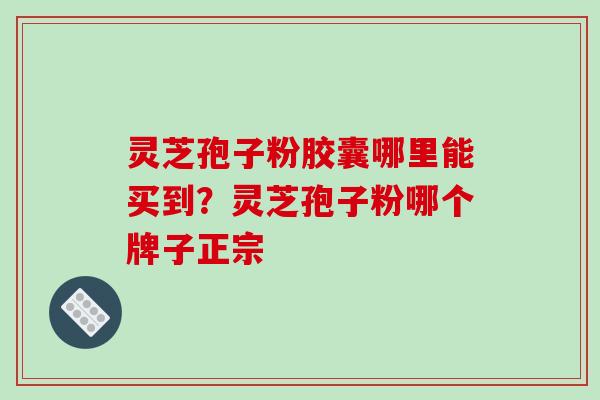 灵芝孢子粉胶囊哪里能买到？灵芝孢子粉哪个牌子正宗