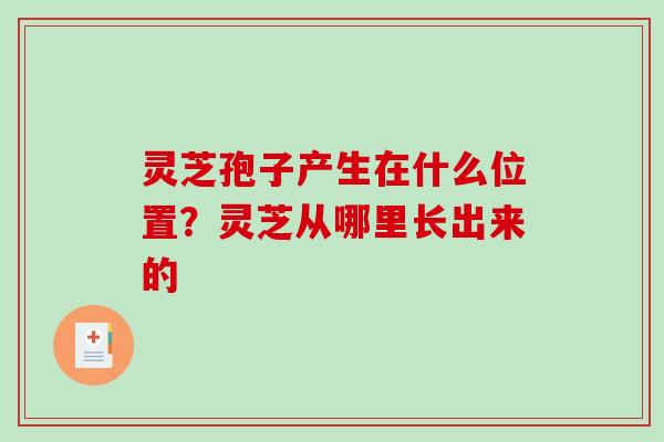 灵芝孢子产生在什么位置？灵芝从哪里长出来的