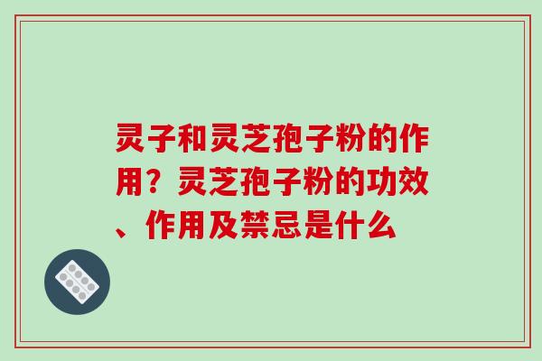 灵子和灵芝孢子粉的作用？灵芝孢子粉的功效、作用及禁忌是什么