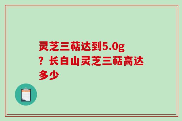灵芝三萜达到5.0g？长白山灵芝三萜高达多少