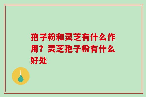 孢子粉和灵芝有什么作用？灵芝孢子粉有什么好处