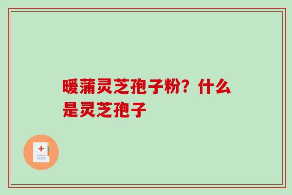 暖蒲灵芝孢子粉？什么是灵芝孢子