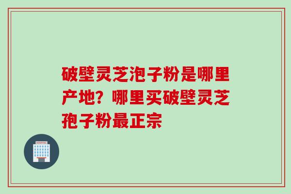 破壁灵芝泡子粉是哪里产地？哪里买破壁灵芝孢子粉最正宗