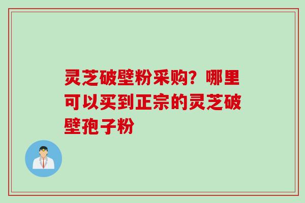 灵芝破壁粉采购？哪里可以买到正宗的灵芝破壁孢子粉
