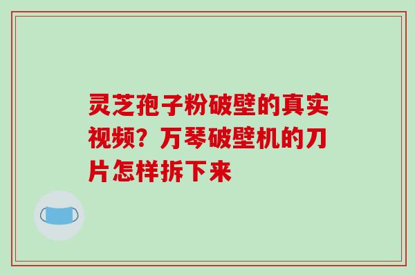 灵芝孢子粉破壁的真实视频？万琴破壁机的刀片怎样拆下来