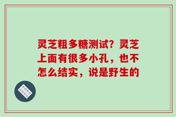灵芝粗多糖测试？灵芝上面有很多小孔，也不怎么结实，说是野生的