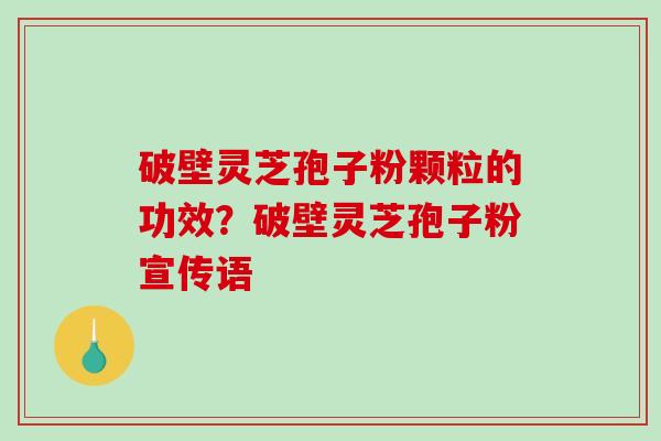 破壁灵芝孢子粉颗粒的功效？破壁灵芝孢子粉宣传语