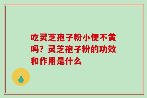 吃灵芝孢子粉小便不黄吗？灵芝孢子粉的功效和作用是什么