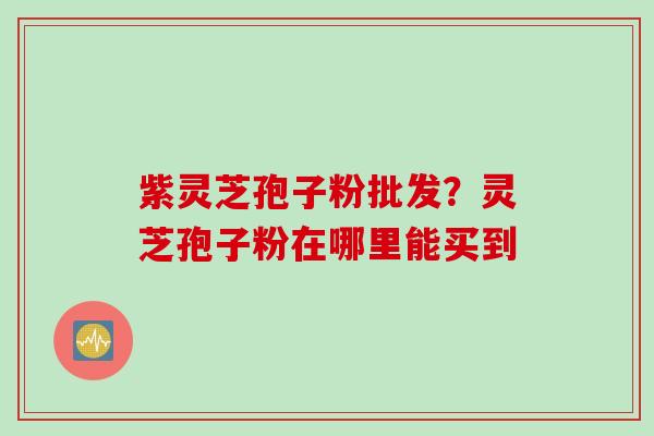 紫灵芝孢子粉批发？灵芝孢子粉在哪里能买到