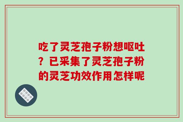 吃了灵芝孢子粉想呕吐？已采集了灵芝孢子粉的灵芝功效作用怎样呢