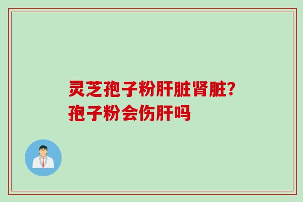 灵芝孢子粉肝脏肾脏？孢子粉会伤肝吗