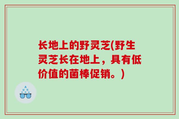 长地上的野灵芝(野生灵芝长在地上，具有低价值的菌棒促销。)